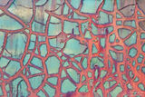 Rusted Web print