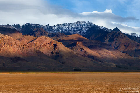 Steens Morning Light