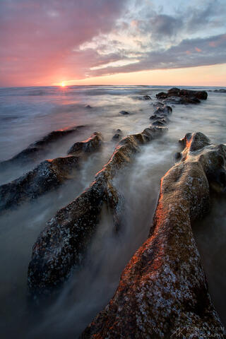 Alien Waters