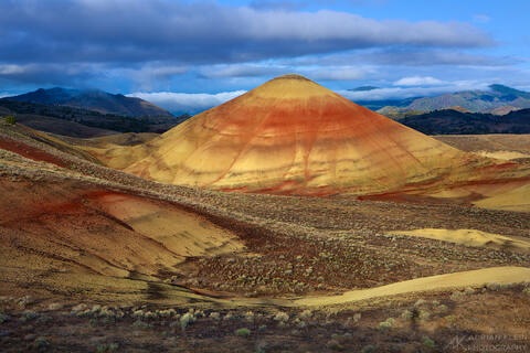 Inland and Desert