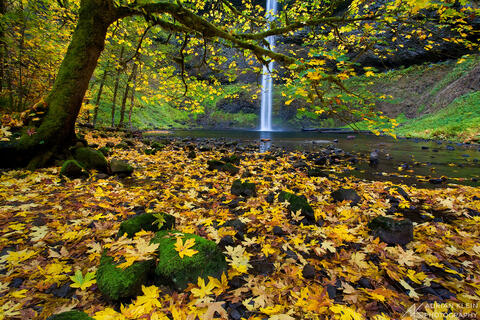 Silver Falls Fall