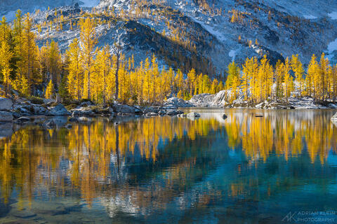 Golden larches in Washington Enchantments Wilderness