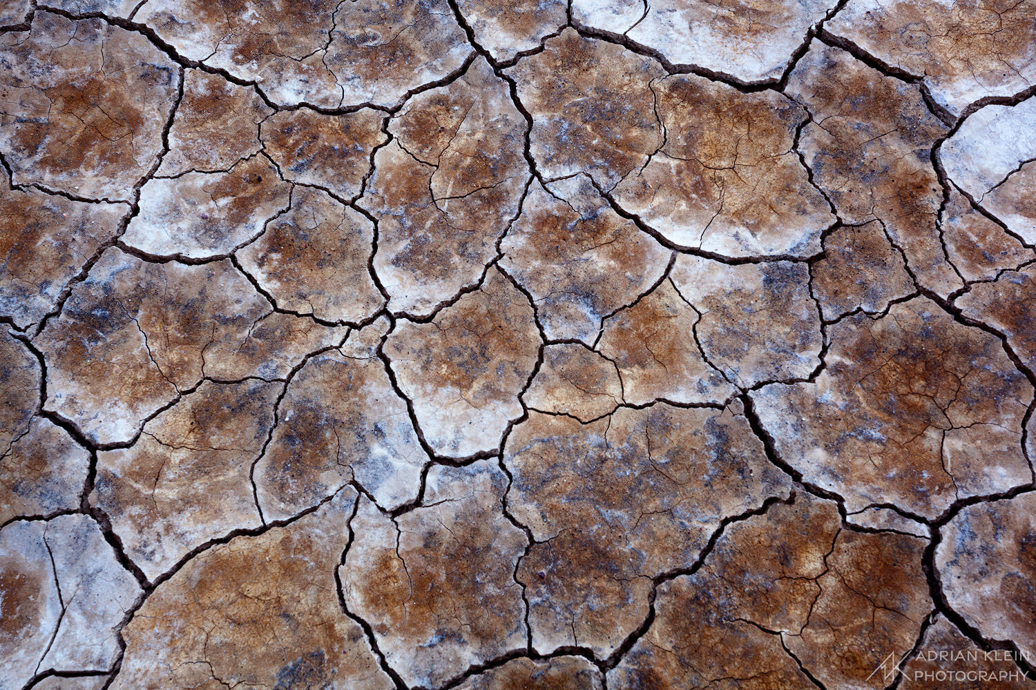 Cracked dried mud in the Alvord Desert of Oregon
