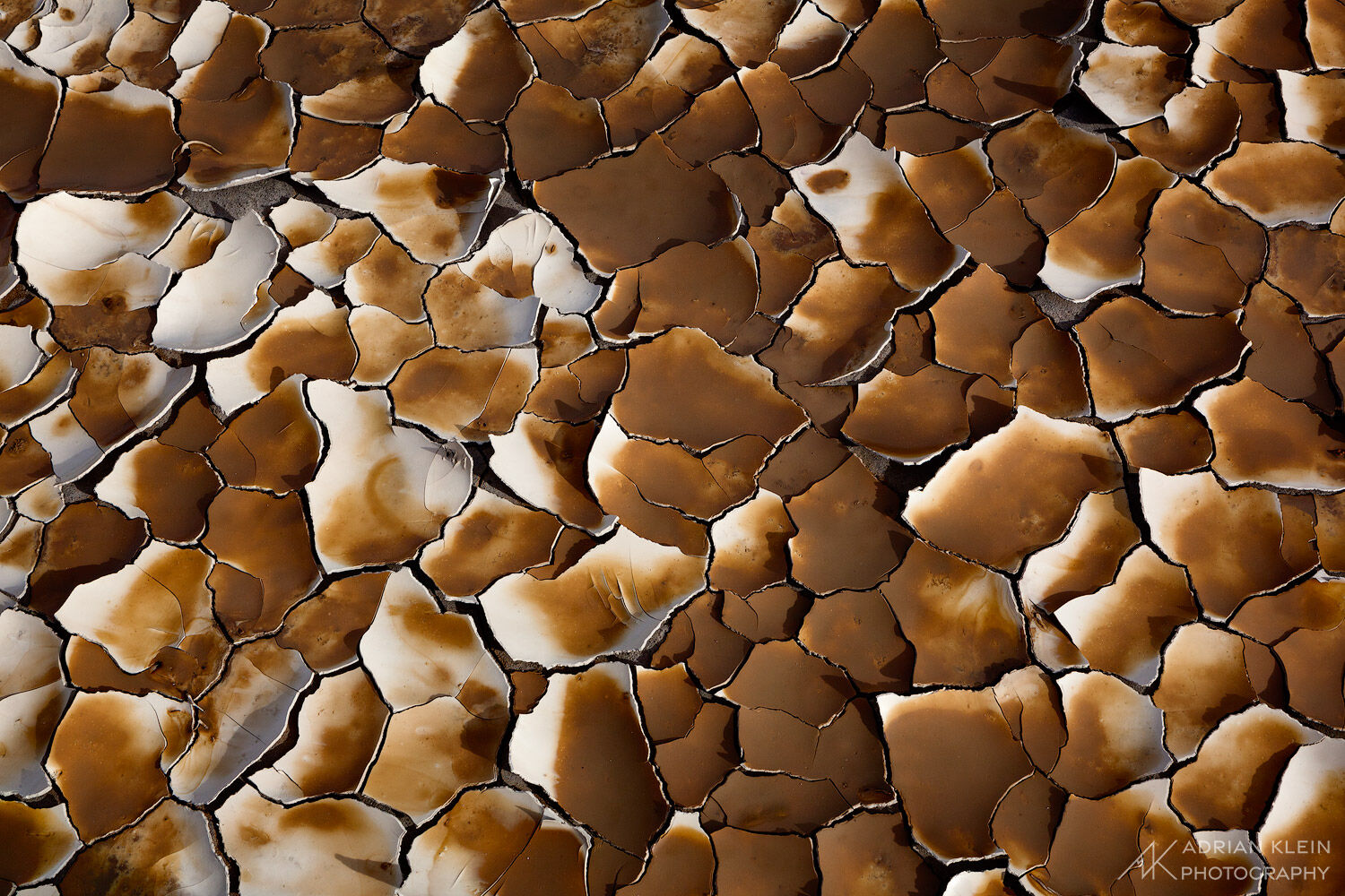 Cracked dried mud in the Alvord Desert of Oregon