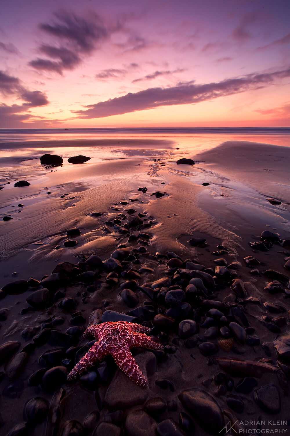 A lone star fish soaking up the last of the sun along the Oregon Coast. Limited Edition of 100.