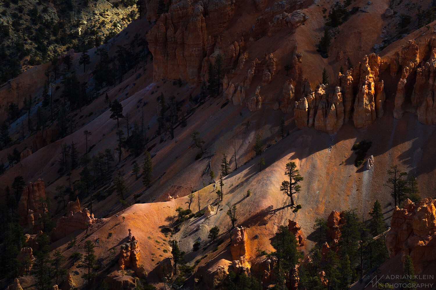 The pinnacles of Bryce Canyon trying to hid from the dappled light rolling through. Limited Edition of 50.