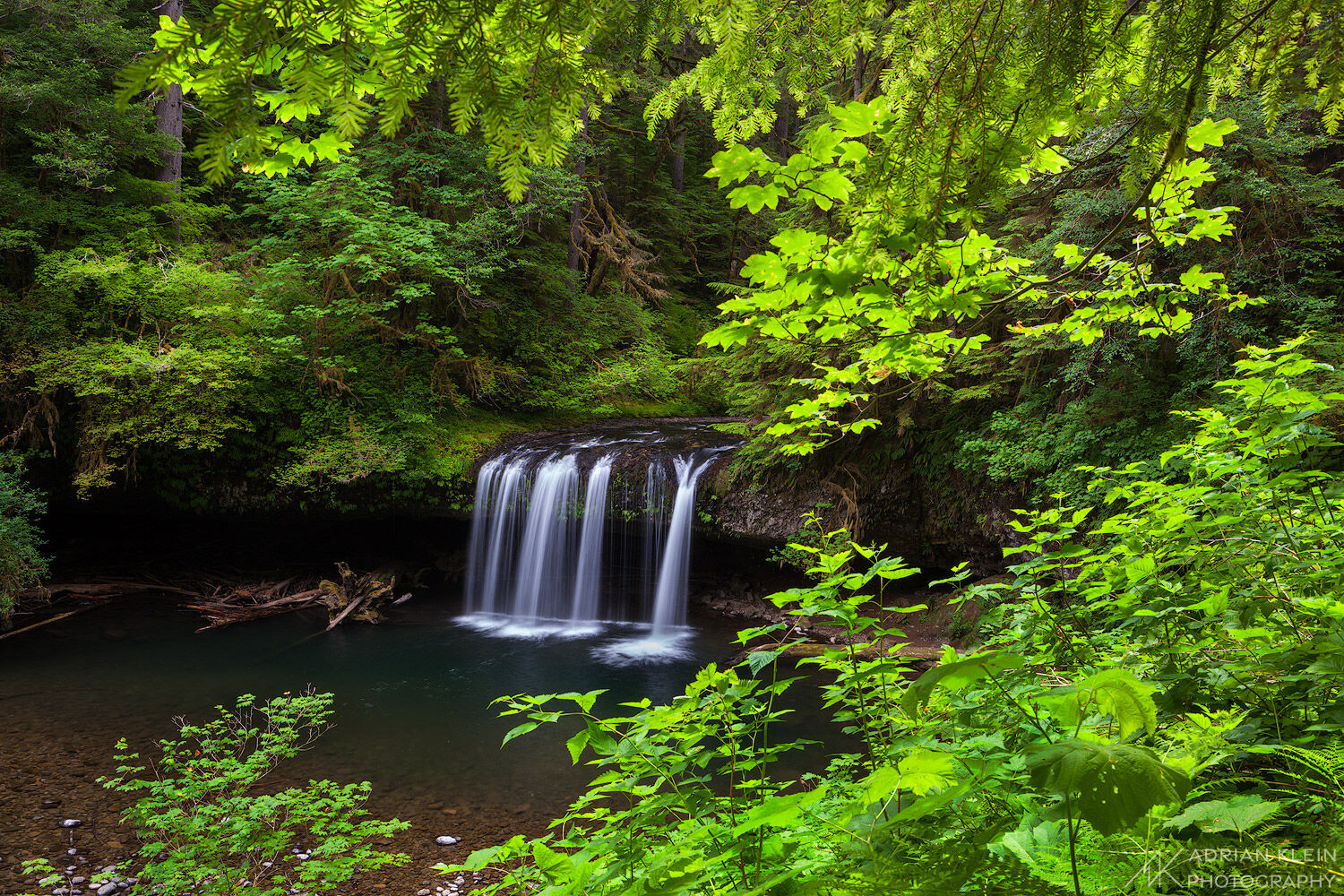 Upper Butte Creek Falls in the Willamette Valley of Oregon surrounded by lush green foliage during spring season. Limited Edition...