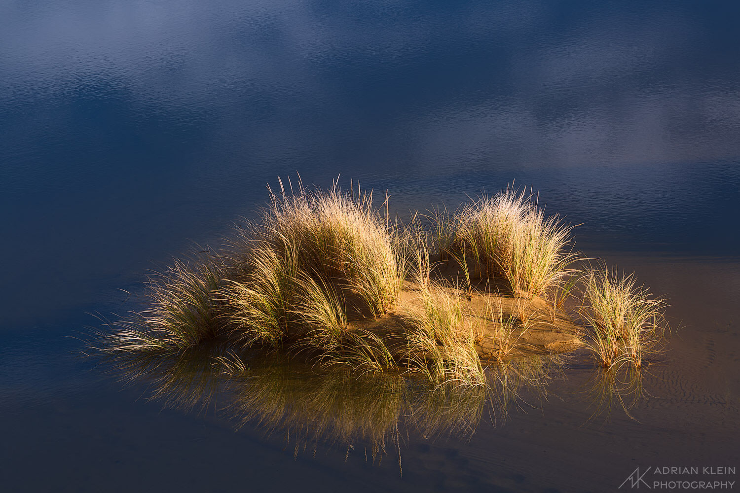 One of a few ponds when winter brings plenty of rain. Close-up of a small island. John Dellenback Dunes on the Central Oregon...