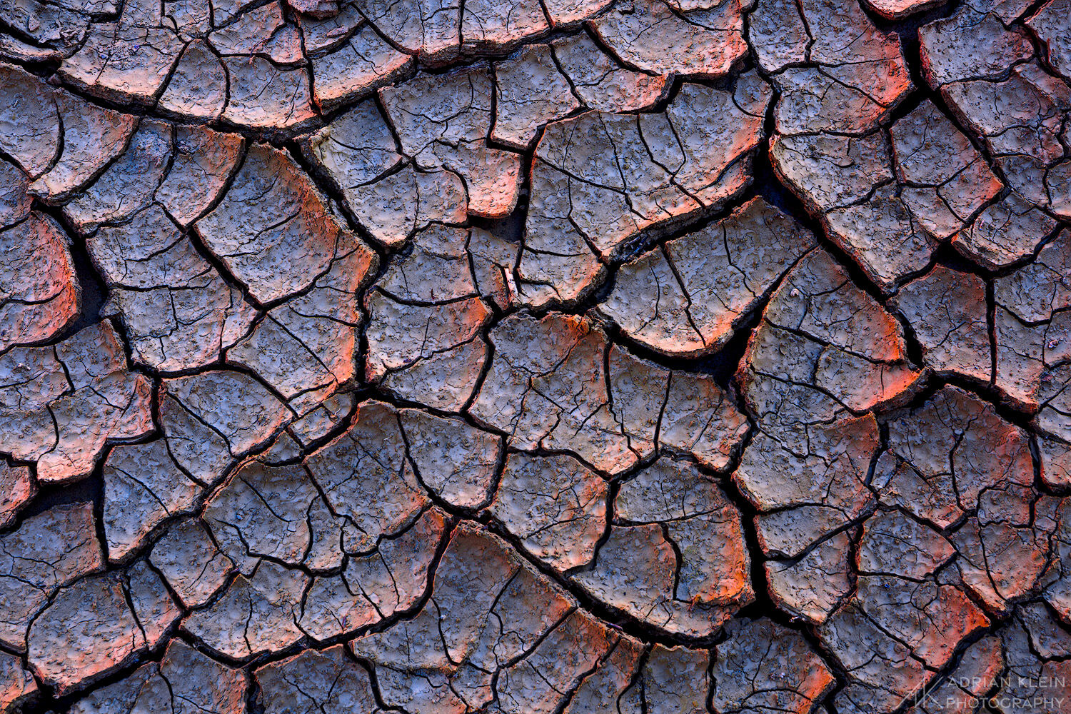 The bright day light was inches away from these cracks giving the red glow along the edges. Hiking the canyons of Grand Staircase...