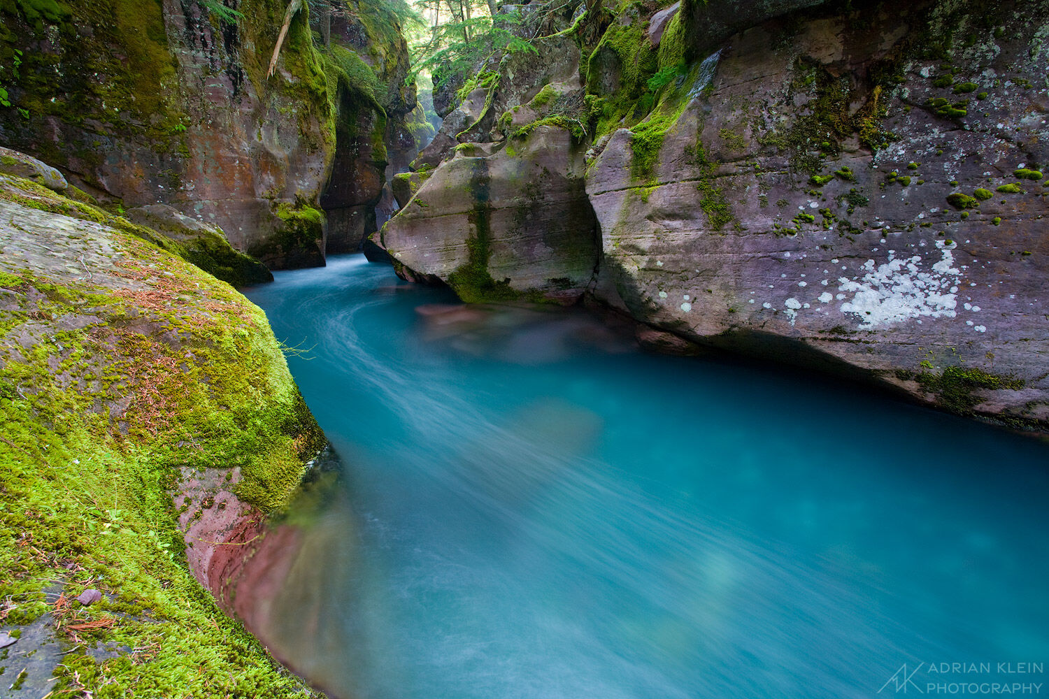 A cool and vibrant flowing Avalanch Creek in Glacier National Park, Montana.