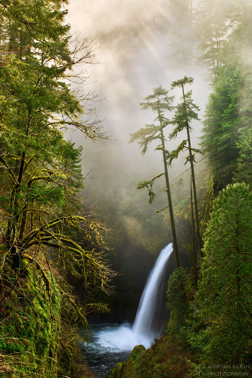 Sunrays penetrate the dense fog over Metlako Falls in the Columbia River Gorge, Oregon. This view no longer exists. A wildfire...