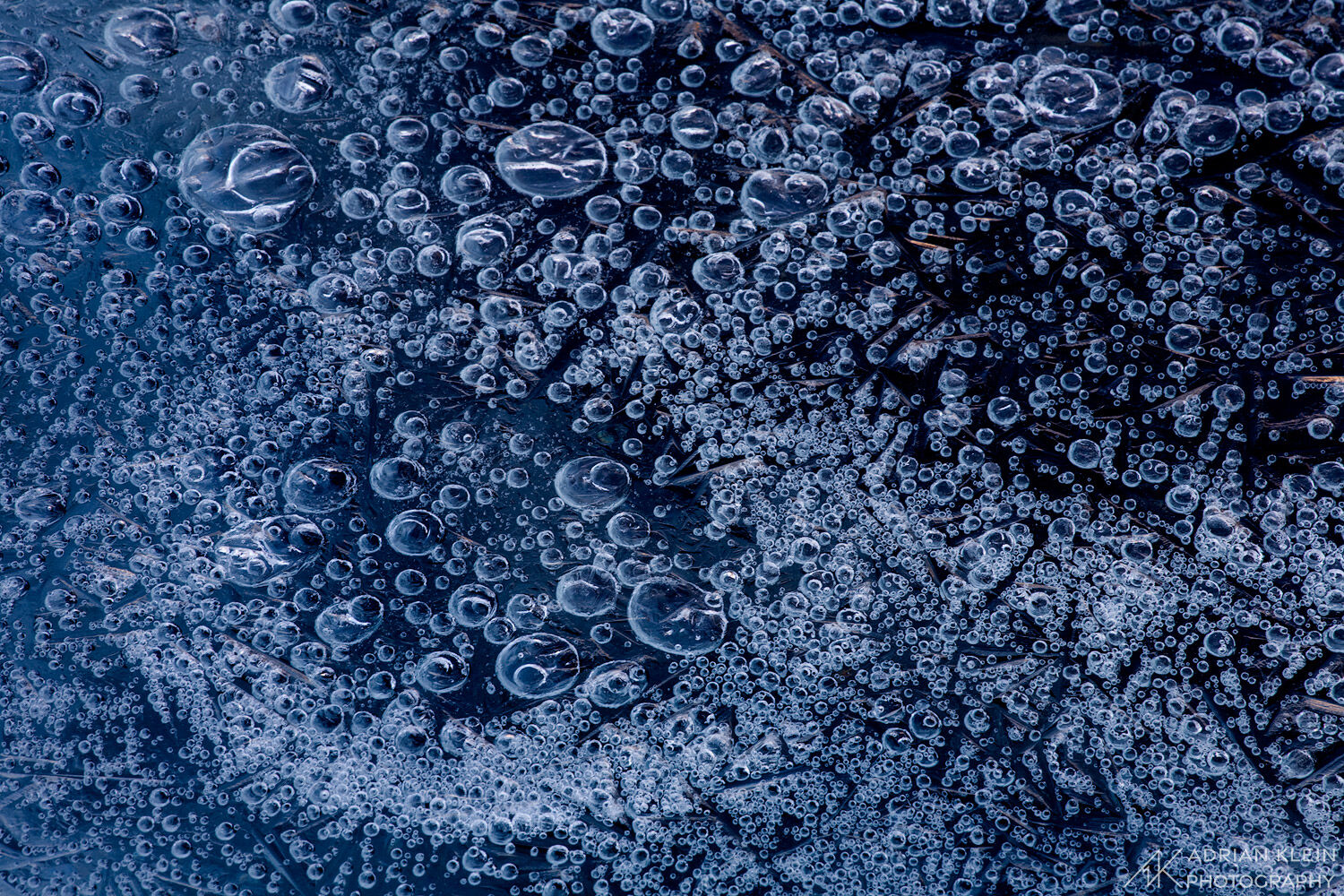 Little bubbles frozen in Green Lakes, Three Sisters Wilderness, Oregon.