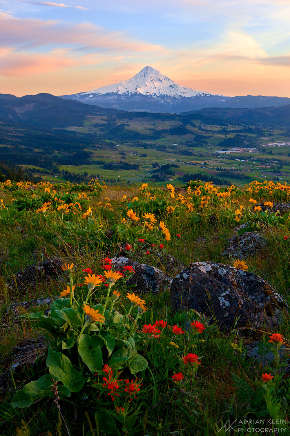 The last of the light baths spring wildflowers and Mt Hood in the Columbia River Gorge, Oregon. Limited Edition of 100.