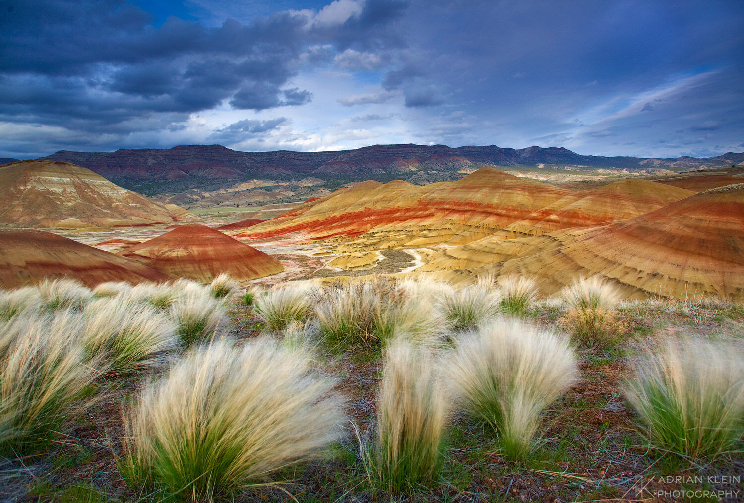 A strong wind storm swaying the bunch grass around rolls through the Painted Hills, Oregon. Limited Edition of 100.