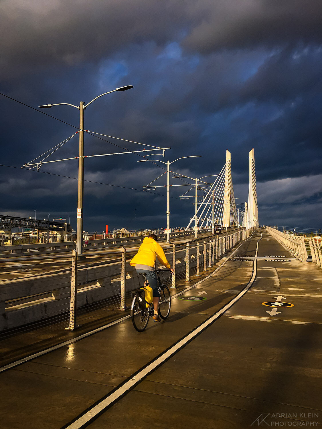 Storm Light on Tilikum Bridge