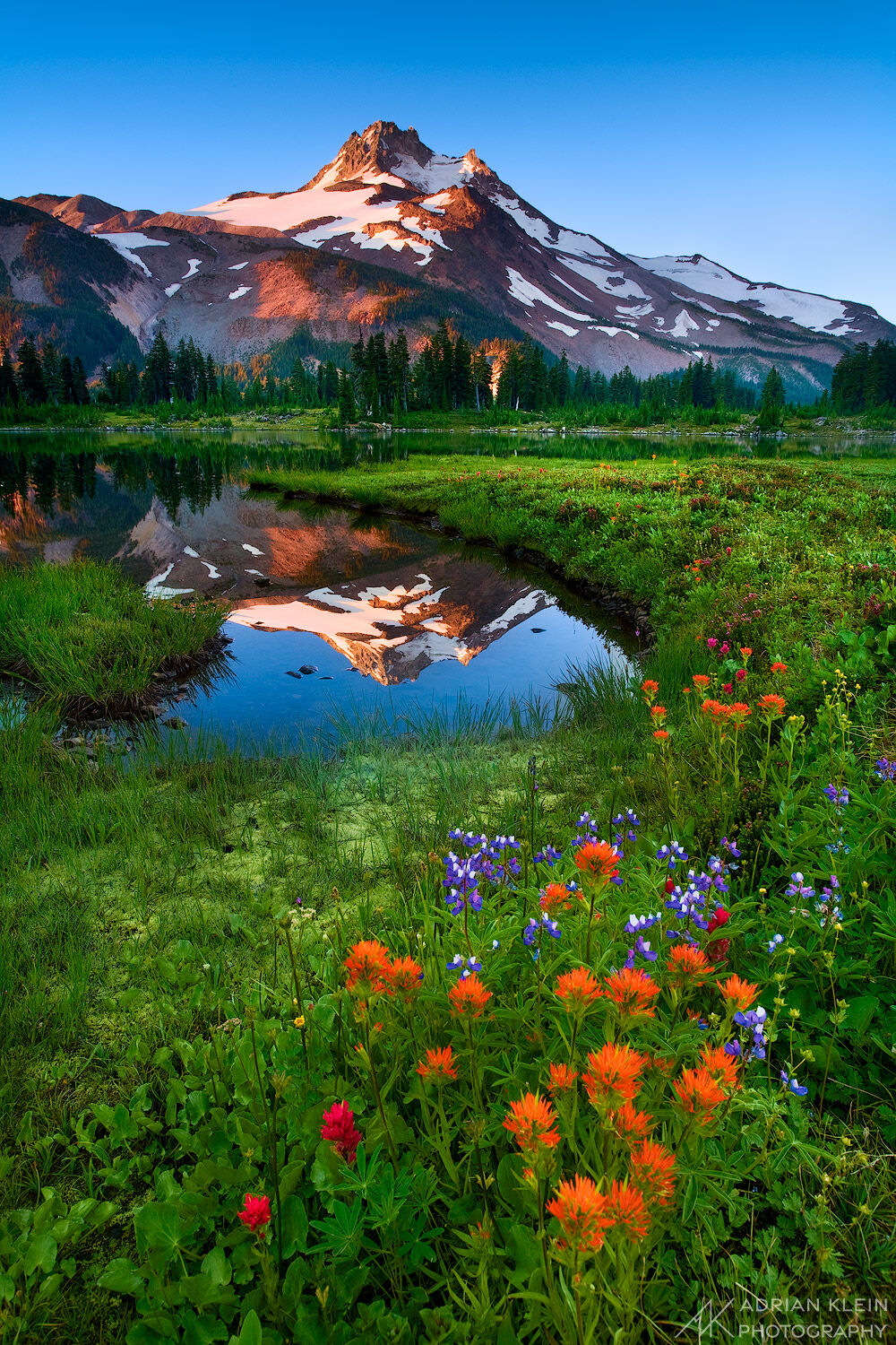 Summer Haven