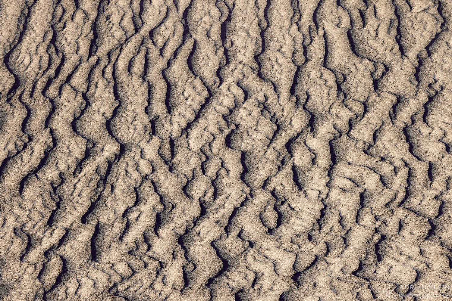 Sand dunes up close with endless wavy and scalloped texture. State of Washington.