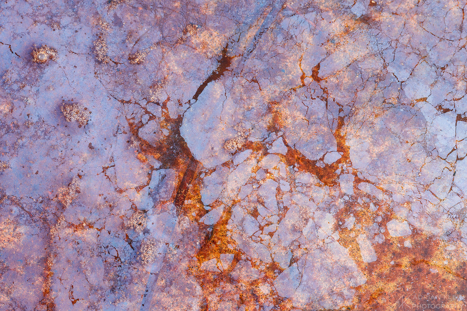 A small scene on the Oregon Coast of bacteria decomposing to creating an oily looking sheen. While at first glance this may look...