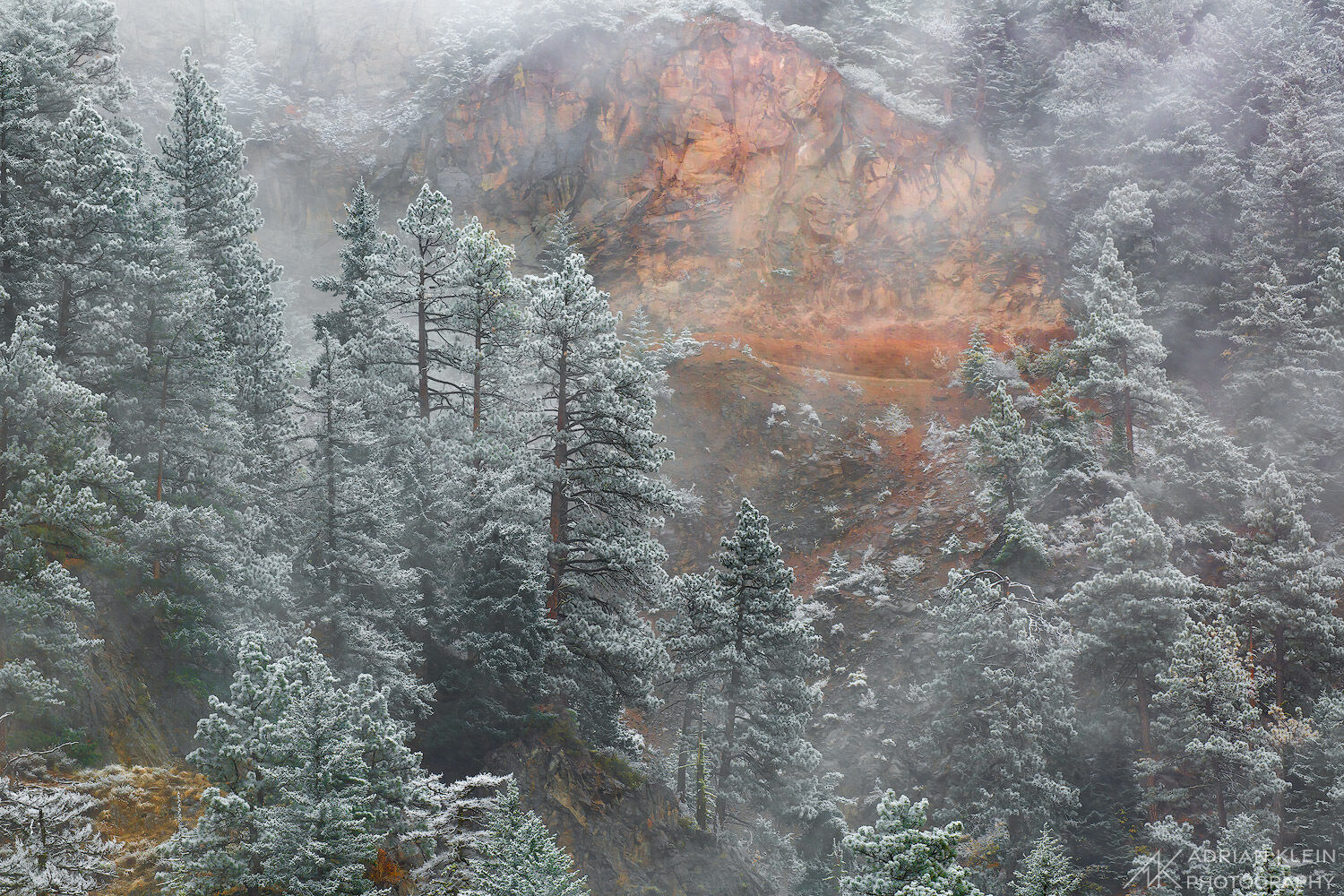 Freezing fog blankets the Mount Hood National Forest as the season changes from Fall to Winter in Oregon. Limited Edition of...