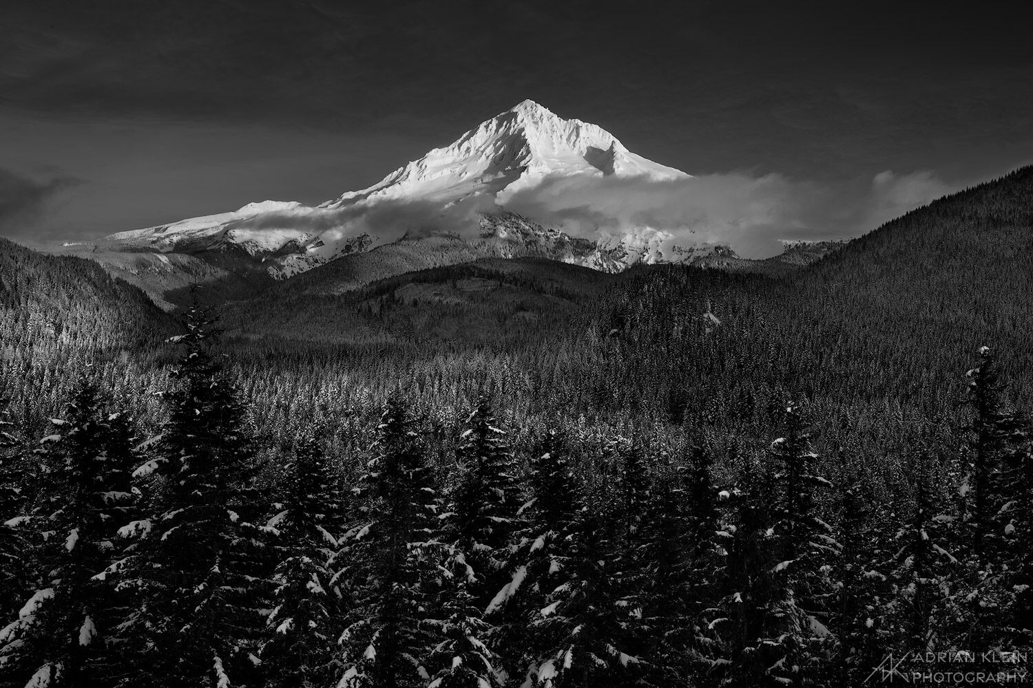As the sun sets Mt Hood radiates light to the entire forest surrounding it. Limited Edition of 100.