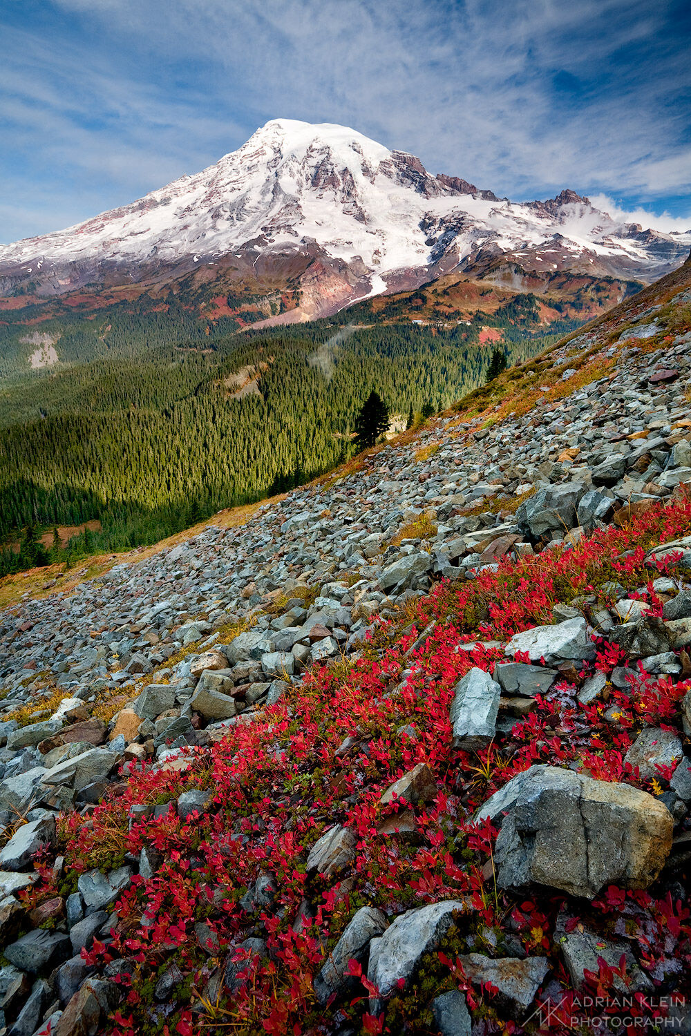 Alpine foliage turns red as fall season comes at Mount Rainier National Park.