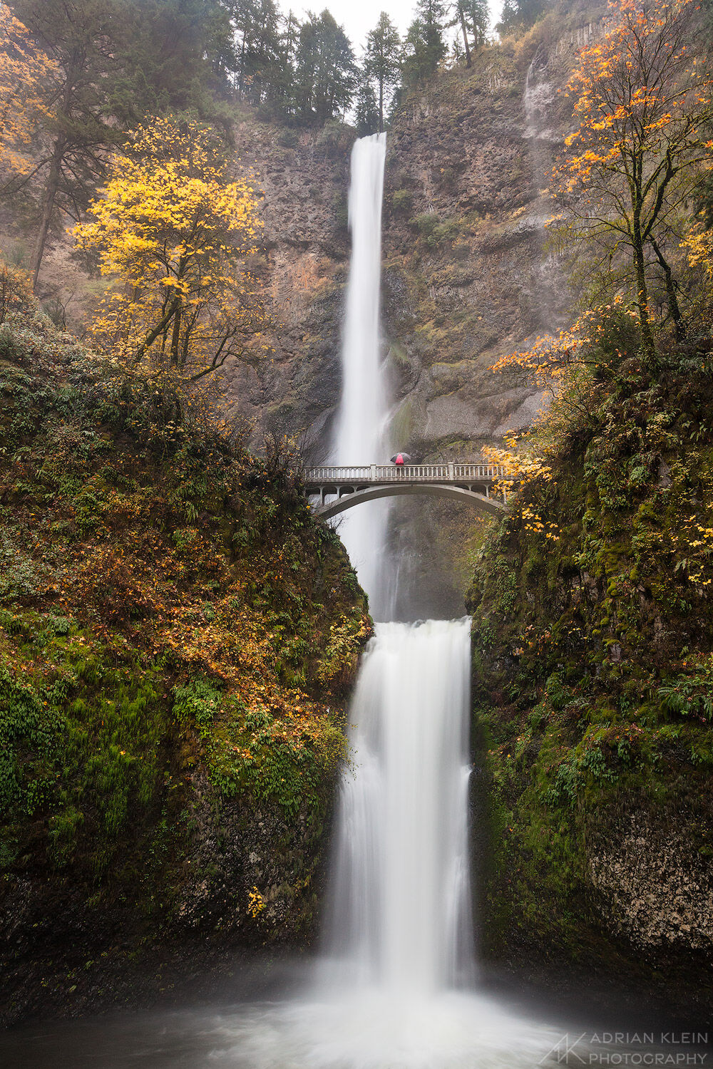 A lone hiker stands under umbrella on a cool damp fall day at Multnomah Falls in the Columbia River Gorge of Oregon.