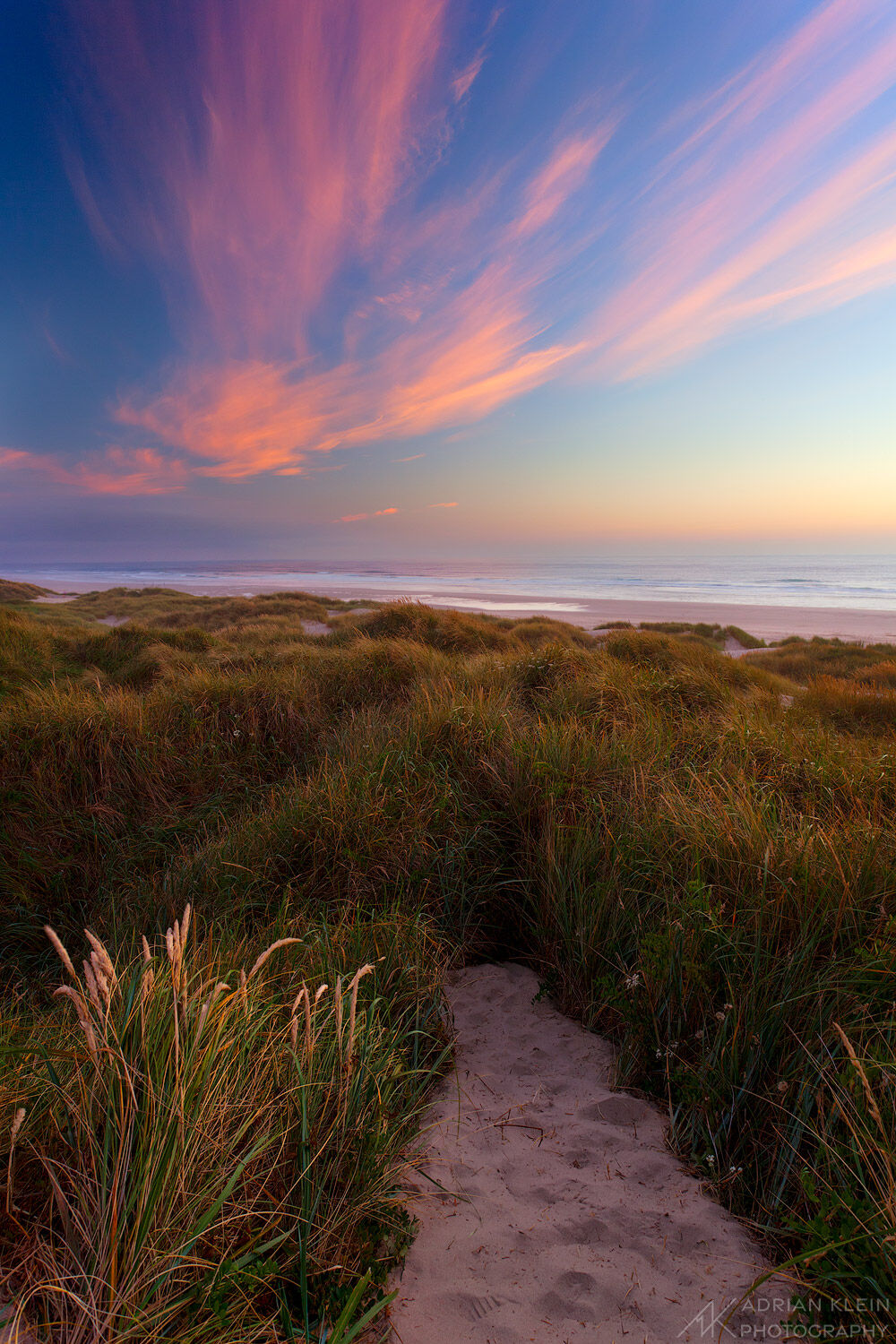 Sand trail at Nehalem Bay State Park leads through the dunes to the beach. Along the Oregon Coast at sunset during summer. Limited...
