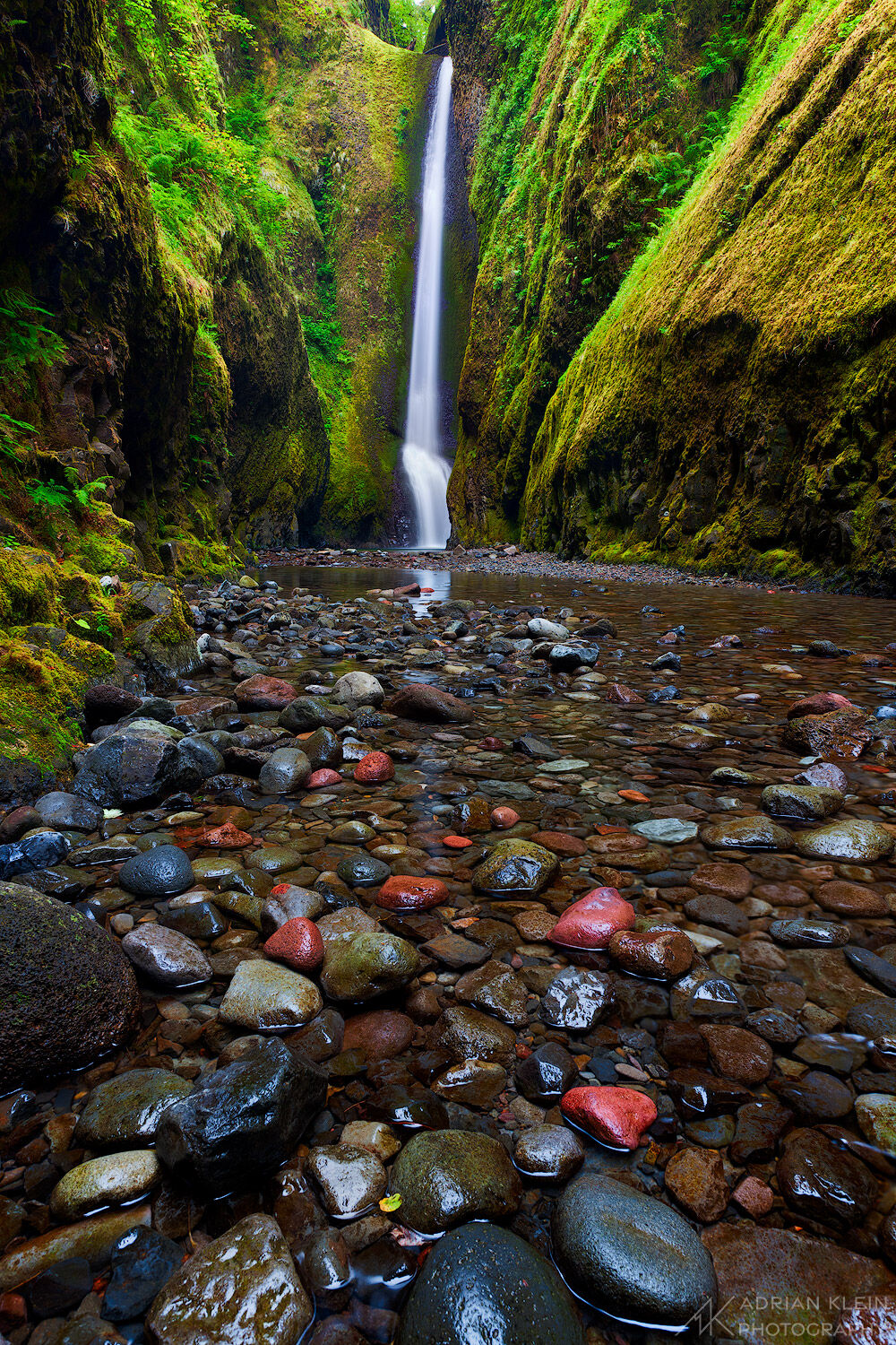 Oneonta Falls flows tall and slender in the back of Oneonta Gorge in Columbia River Gorge of Oregon. Chest high wadding through...