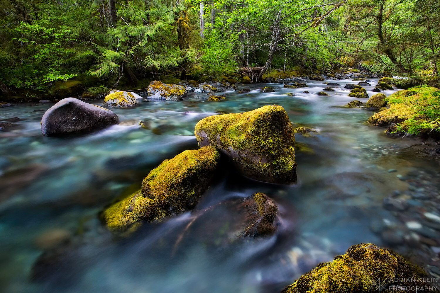 The opal colored water flowing through Opal Creek Wilderness. This forest was severely burned in a 2020 wildfire.  Limited Edition...