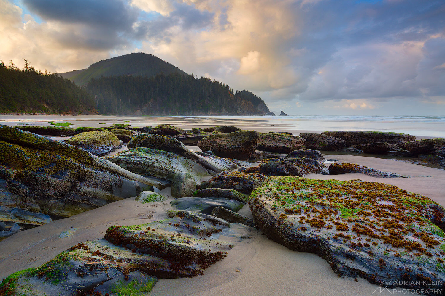 A Sunday morning along the North Oregon Coast at Oswald West State Park. Limited edition of 50.