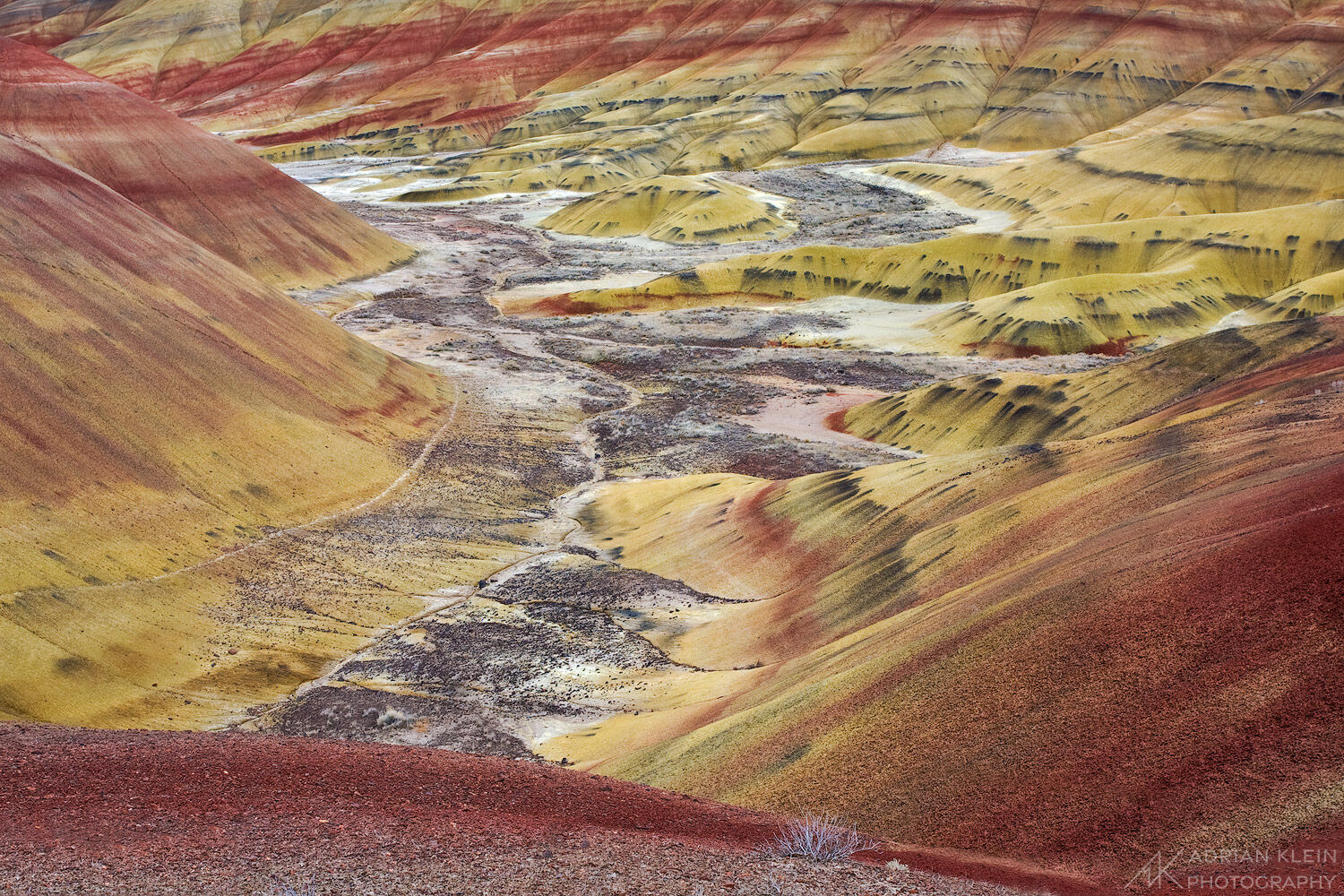 The rings of time expressed with color on the Painted Hills National Monument in Oregon.