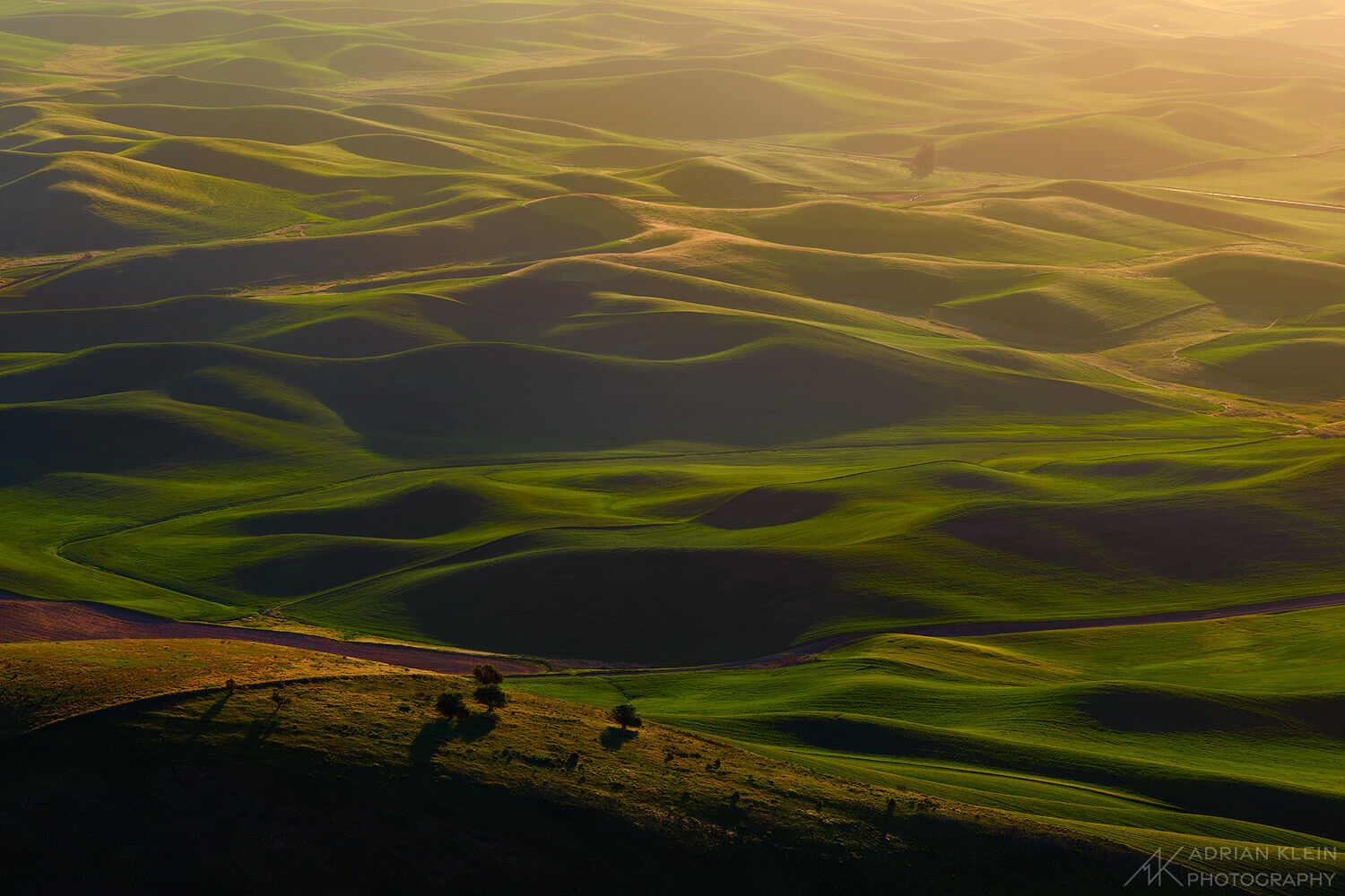 The rolling Palouse Hills light up during a spring sunrise in South Eastern Washington. These beautiful and gentle rolling hills...