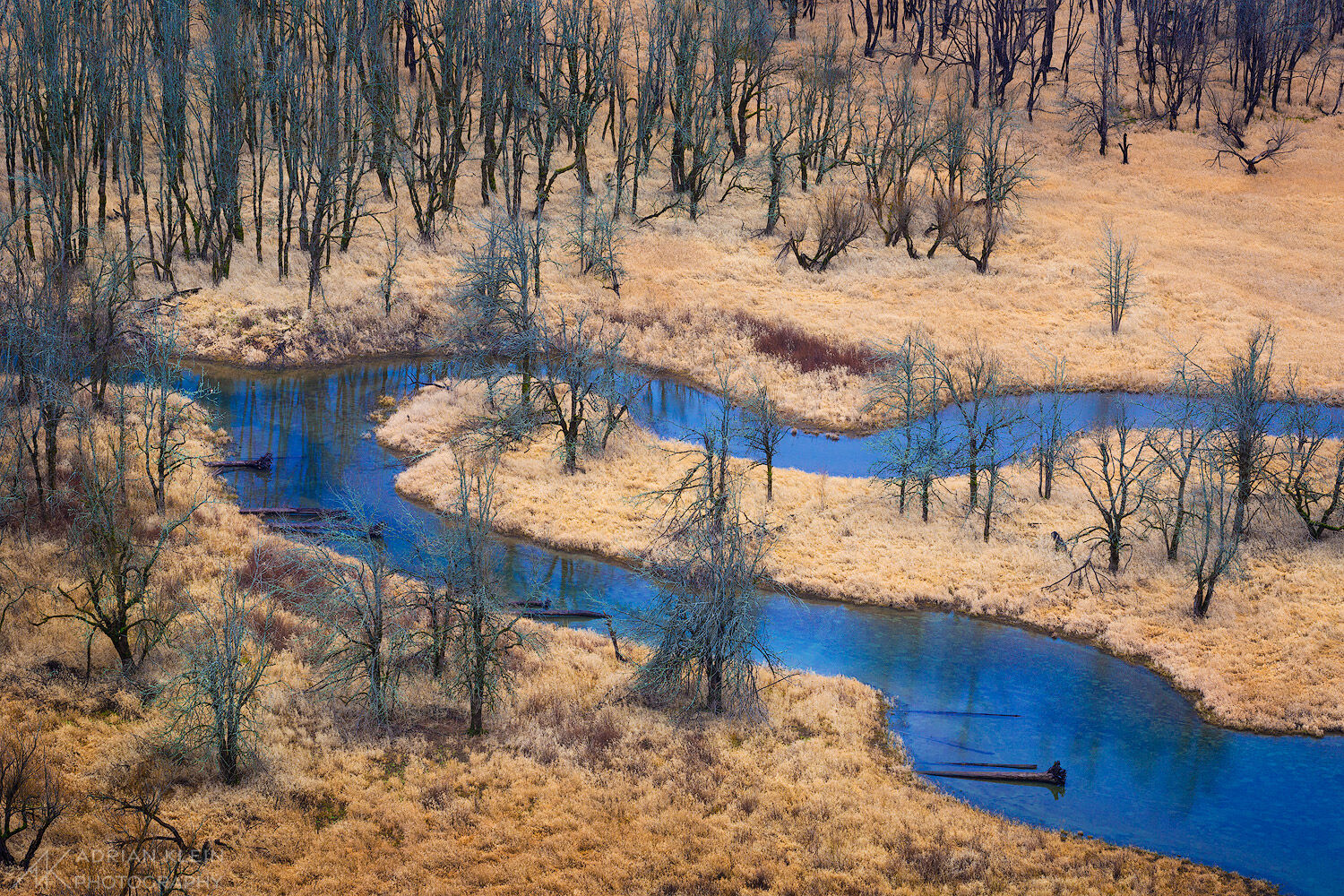 A slow moving stream meanders through a marsh area in the Columbia River Gorge.