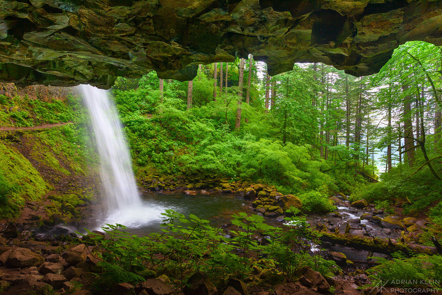 Backside view of Ponytail Falls in the Columbia River Gorge of Oregon during spring season when the greens are lush. Limited...