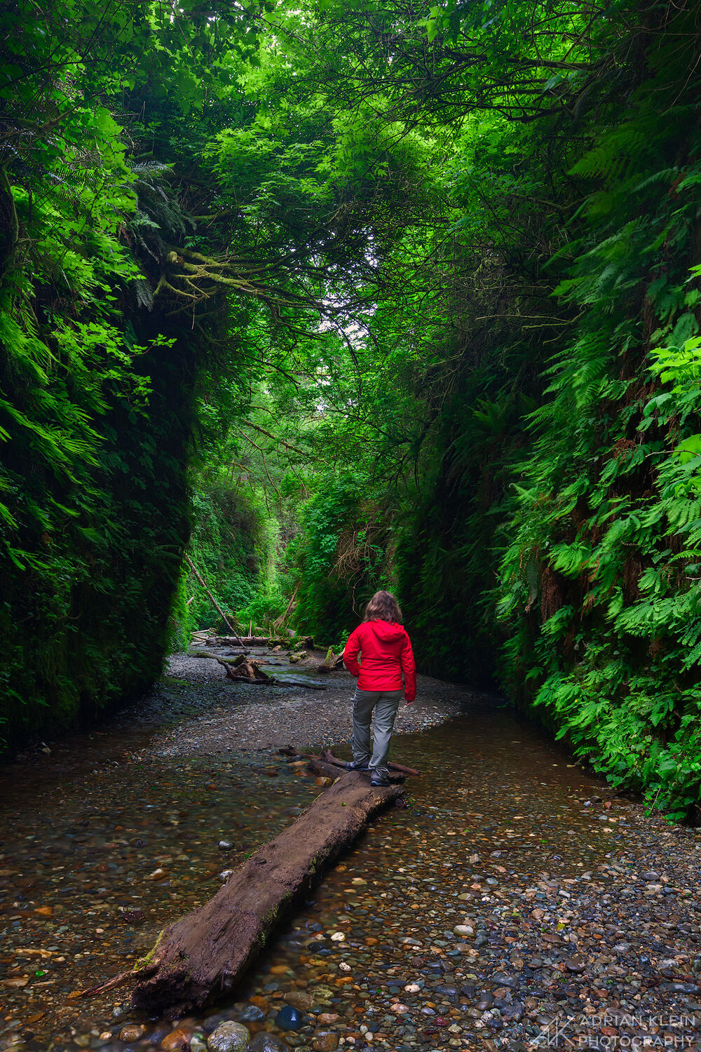 My wife starring into the magnificent Fern Canyon at Gold Bluffs Beach located in Northern California in the Redwoods.