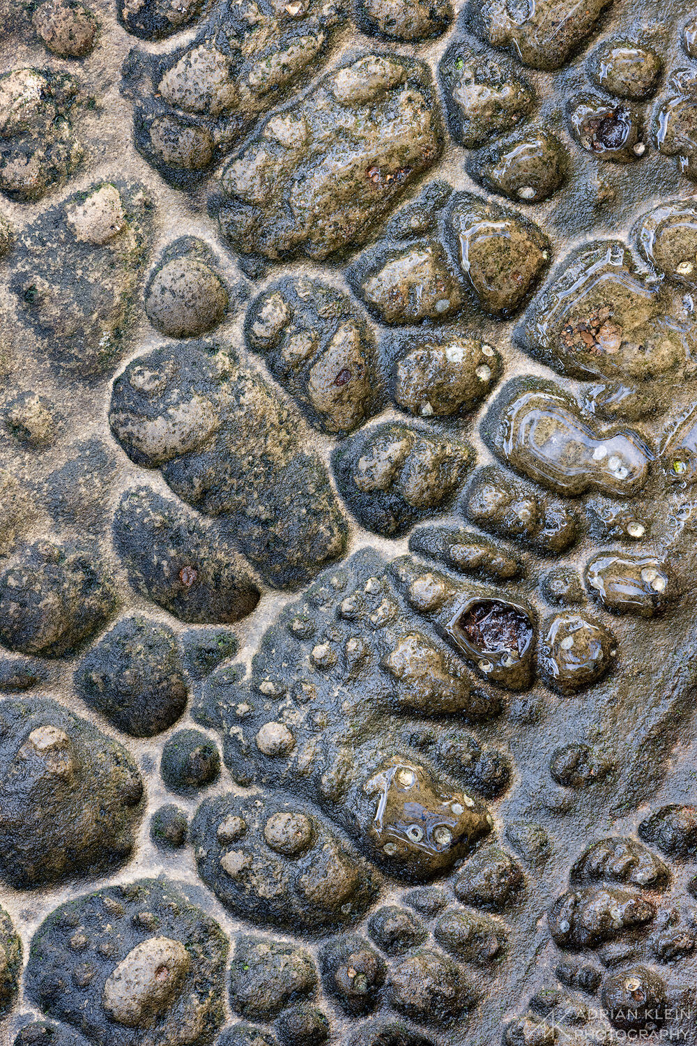 Sandstone worn out from the ocean waves creating unique texture and shapes.