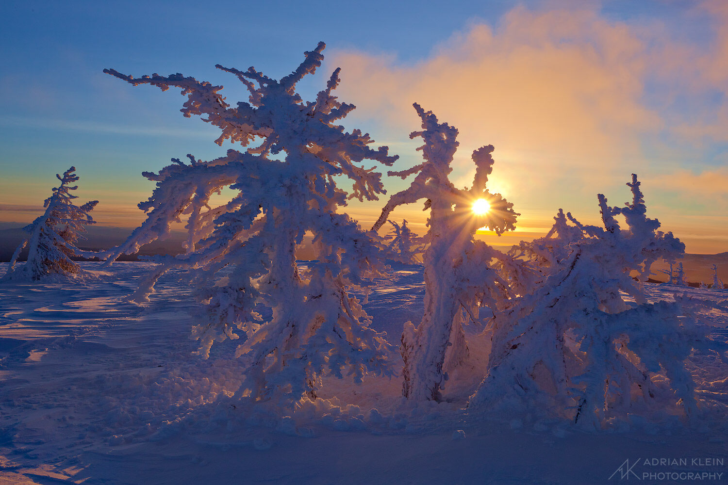 A magical morning on the top of Tumalo Mountain in Central Oregon. Only hours after a large winter storm cleared I was there...