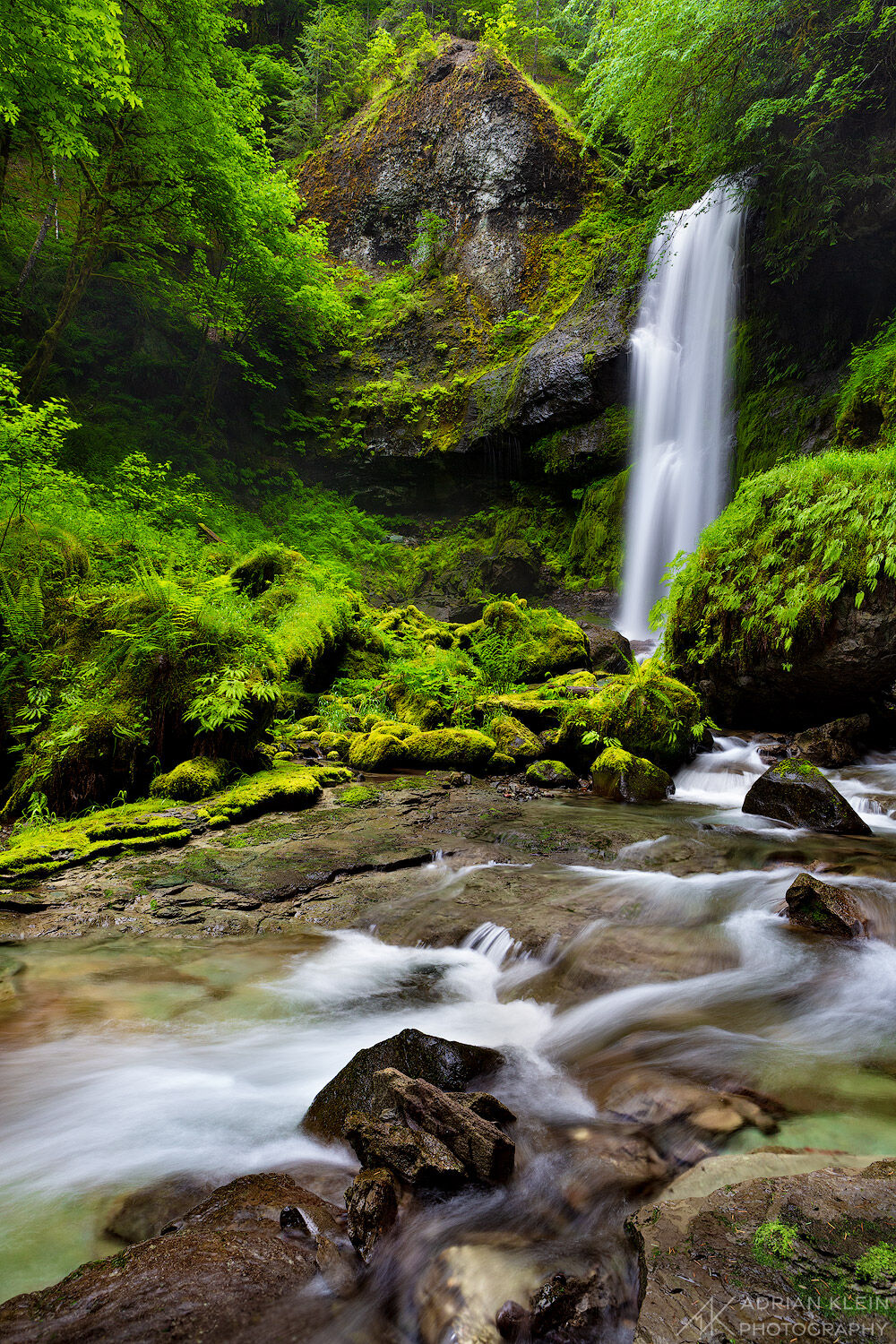 A remote waterfall in the pacific northwest seen during the vibrant spring season. Limited Edition of 100.